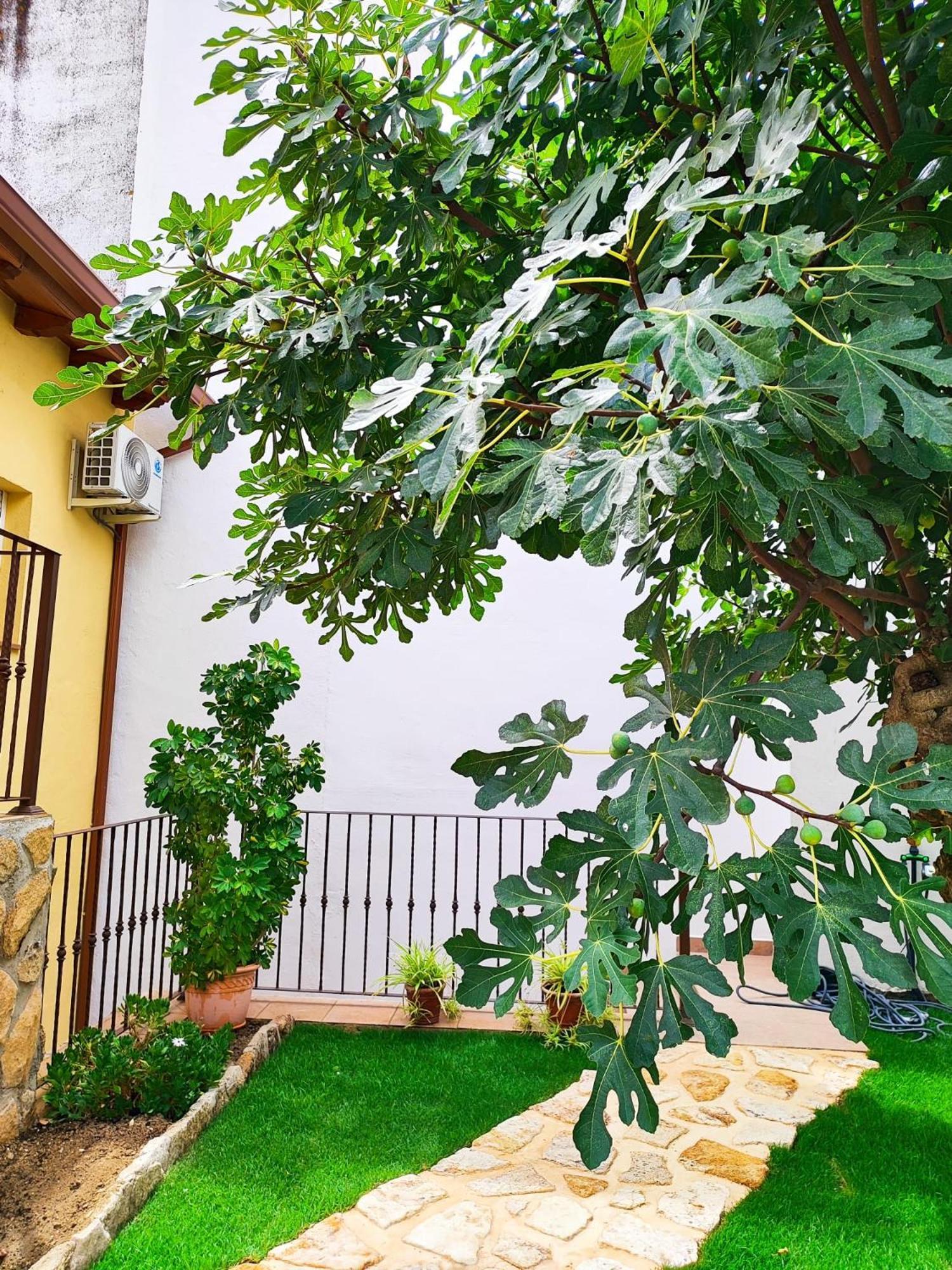 La Casita De Ra Villa Castillo de Bayuela Екстериор снимка